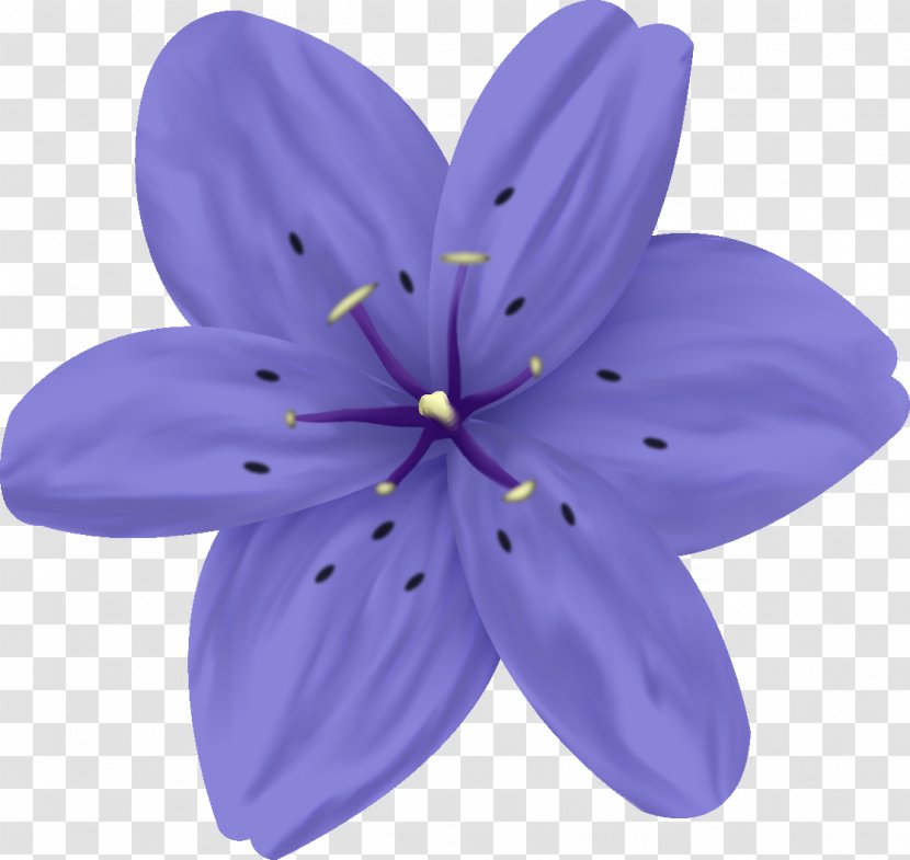 Lavender Lilac Violet Purple Flower Transparent PNG