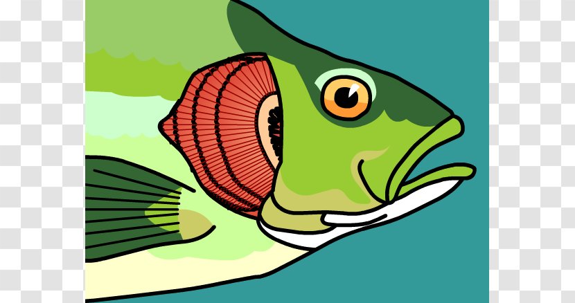 Fish Gill Clip Art - Organism - Cliparts Transparent PNG