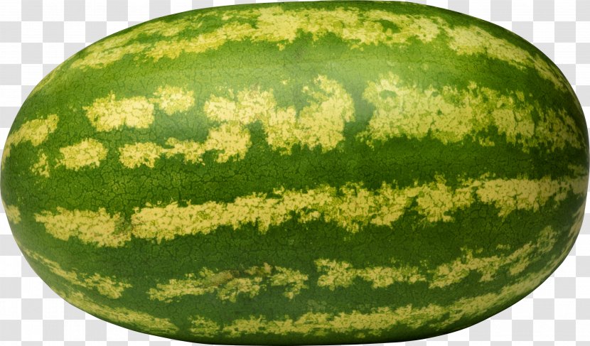 Citrullus Lanatus Var. Fruit Cantaloupe - Squash - Watermelon Image Transparent PNG