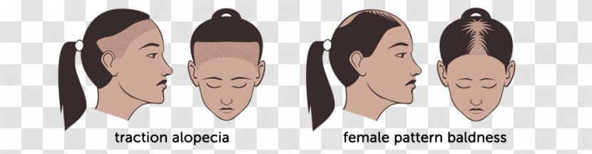 Shoe Hair Coloring Line Homo Sapiens Font - Head - Loss Transparent PNG