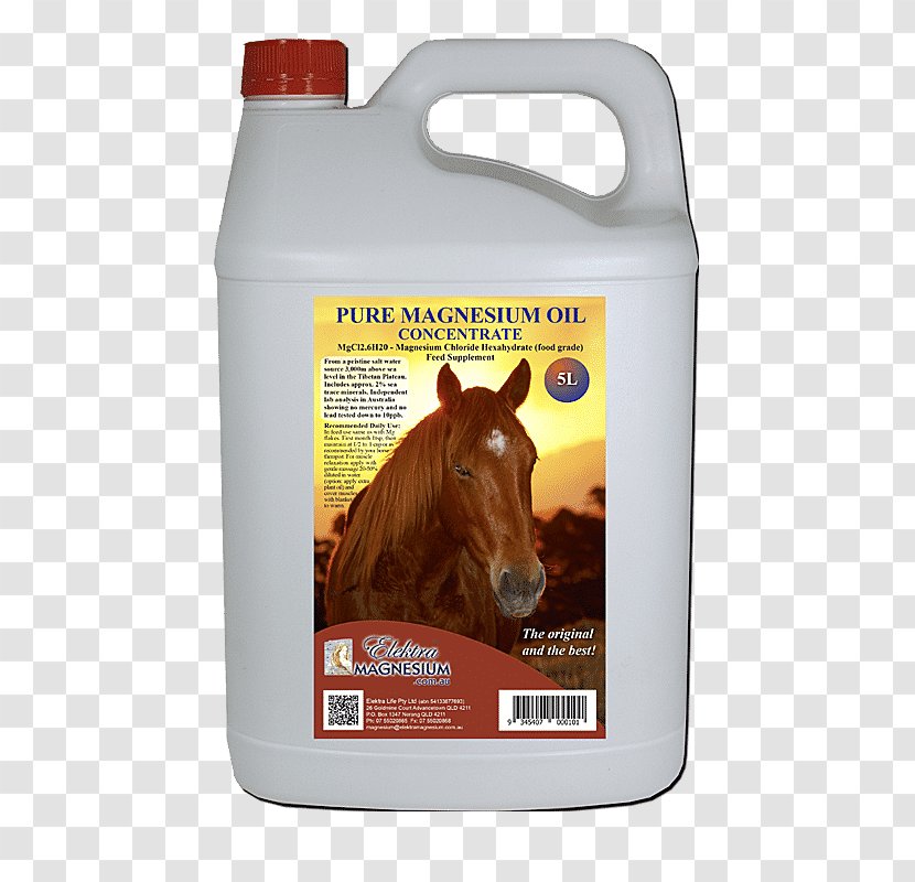 Horse Dietary Supplement Magnesium Oil Chloride - Deficiency Transparent PNG