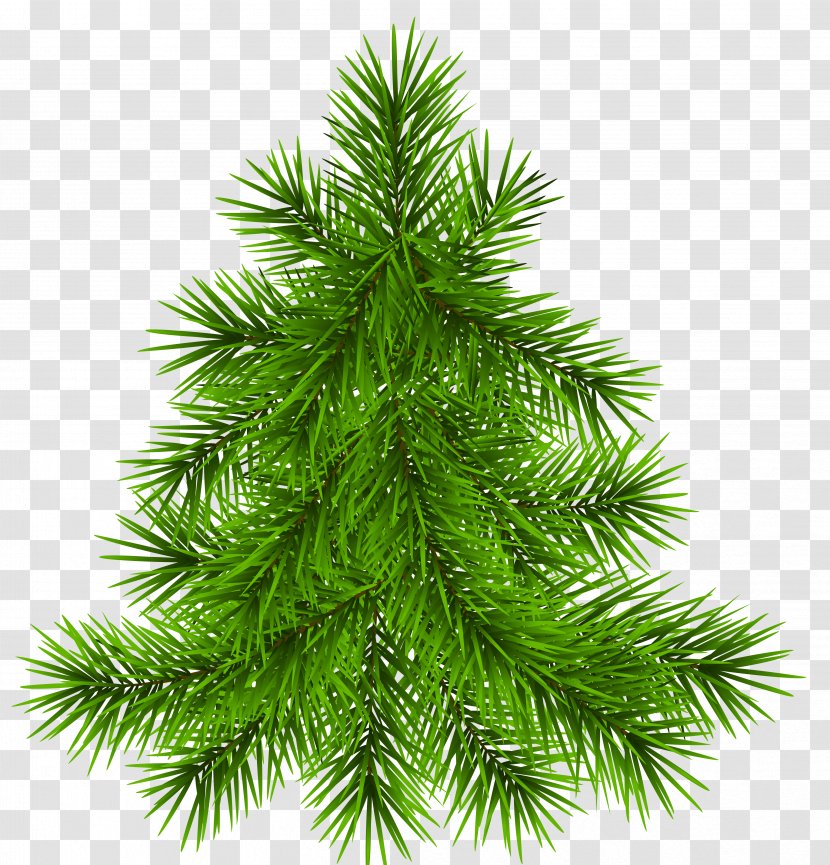 Pine Tree Transparent Picture - Family - Christmas Ornament Transparent PNG