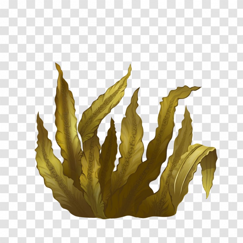 Kelp Seaweed Algae Deep-sea Tangles - Giant - Sea Transparent PNG