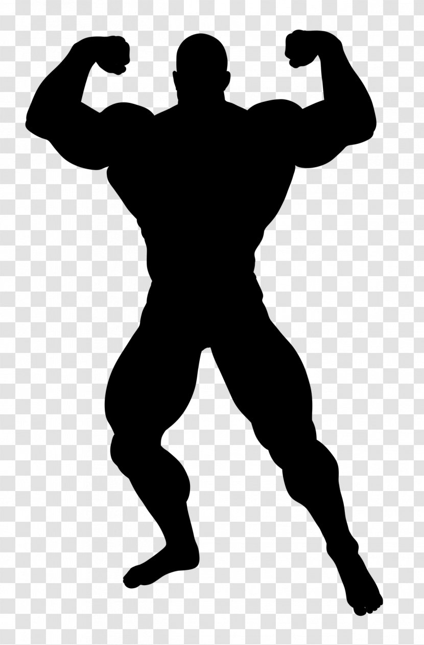 Muscle - Fictional Character - Male Transparent PNG