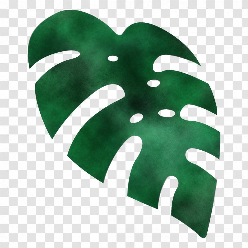 Green Leaf Plant Symbol Arum Family Transparent PNG