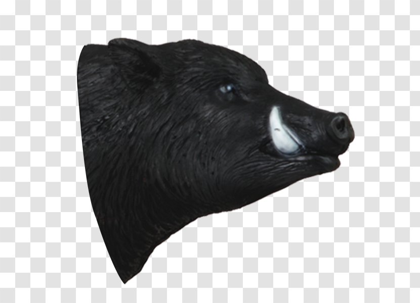 Wild Boar Brown Bear Coyote Target Archery - Flower Transparent PNG