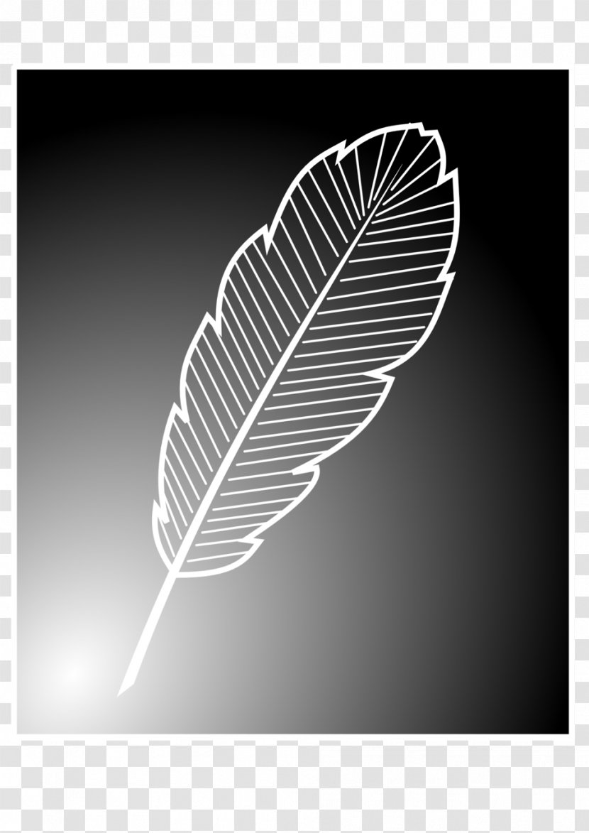 Feather Bird Black And White - Silhouette Transparent PNG