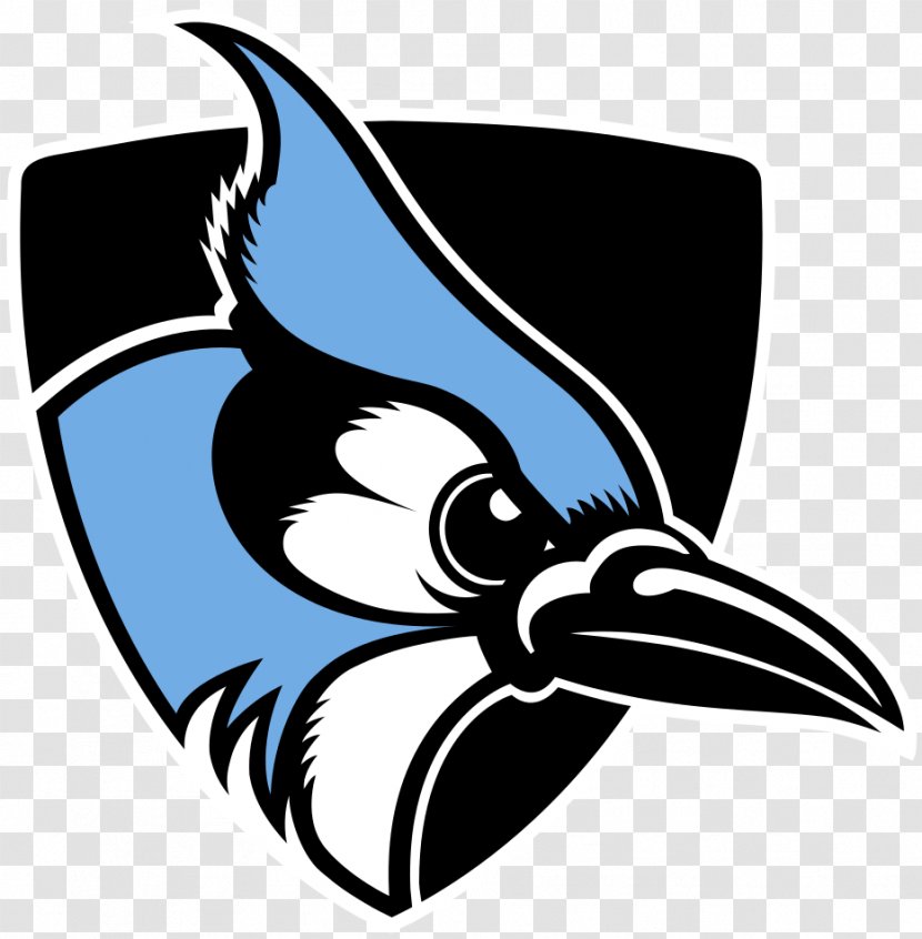 Johns Hopkins University Blue Jays Men's Lacrosse Football Women's Basketball - Men S - Mascot Logo Transparent PNG