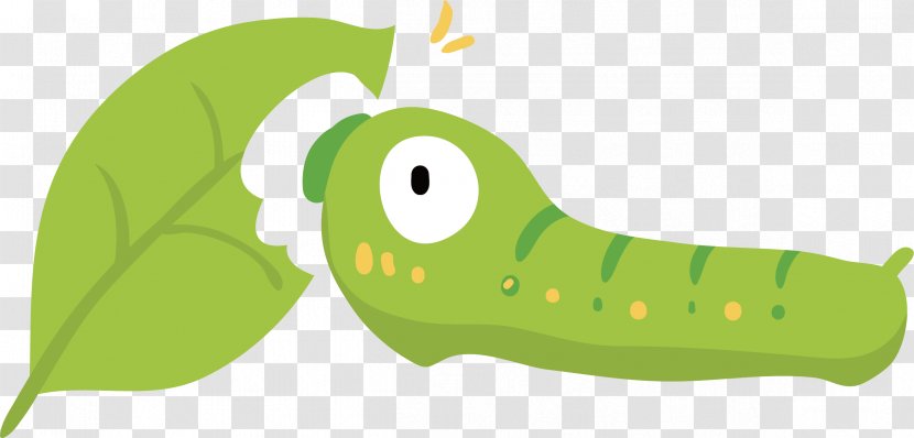 Green Insect Illustration - Beak - Bug Vector Transparent PNG