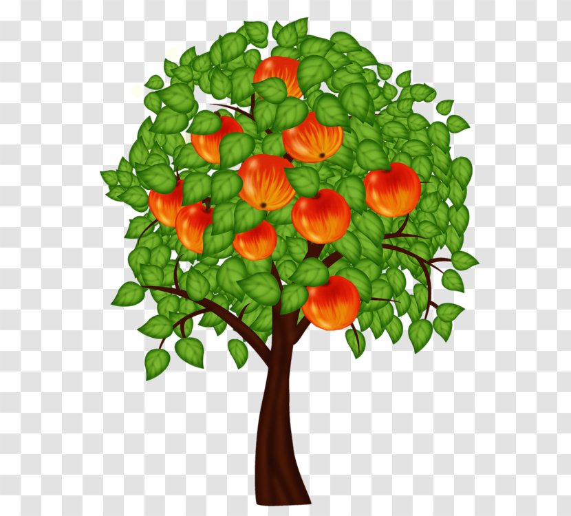 Tree Apples Fruit Crops Ornamental Plant Transparent PNG