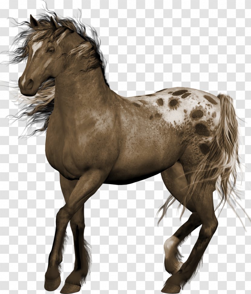 Horse Clip Art - Stallion - Wild West Transparent PNG