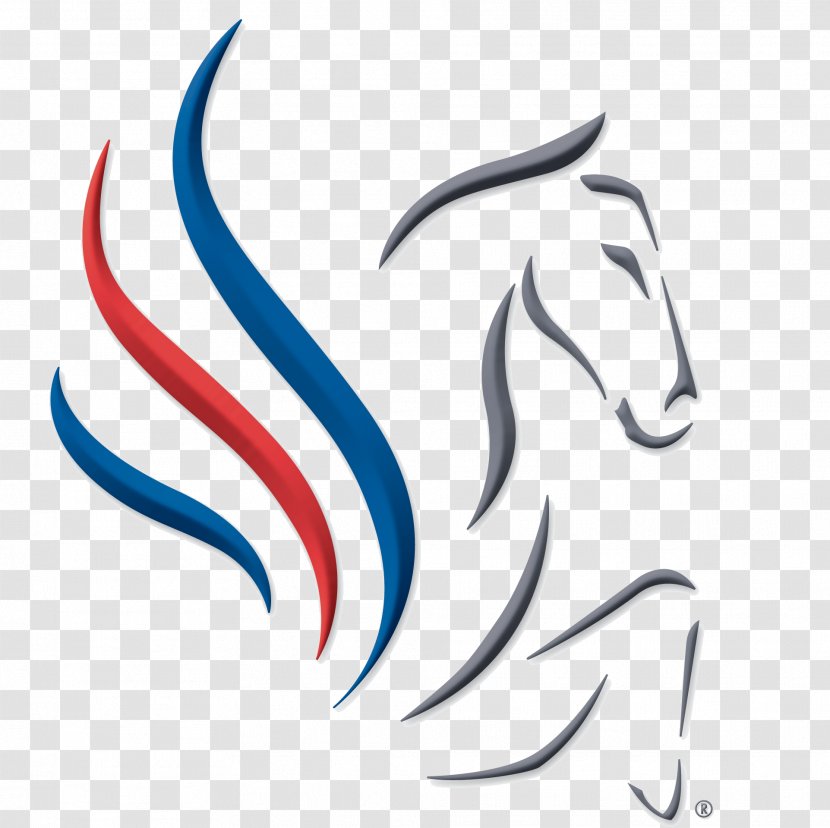 United States Equestrian Federation Horse Non-profit Organisation - Fictional Character - Pegasus Transparent PNG