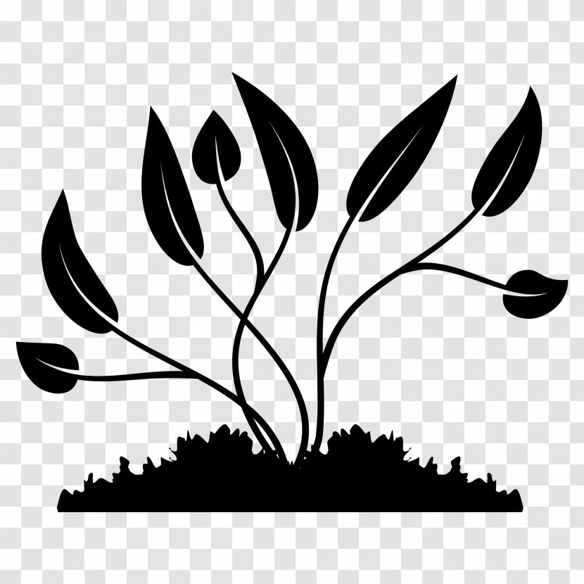 Clip Art Plants Image - Grass Family - Seedling Transparent PNG