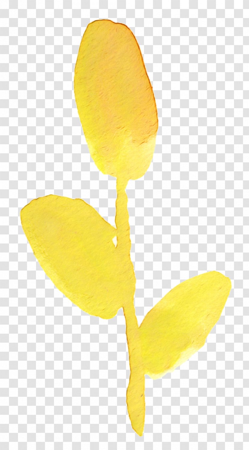 Petal Yellow Flowering Plant Plants - Leaf Transparent PNG