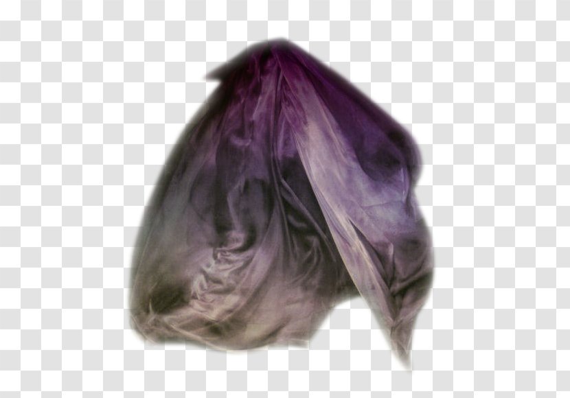 Amethyst Liya Kebede - Purple - Black Swan Transparent PNG