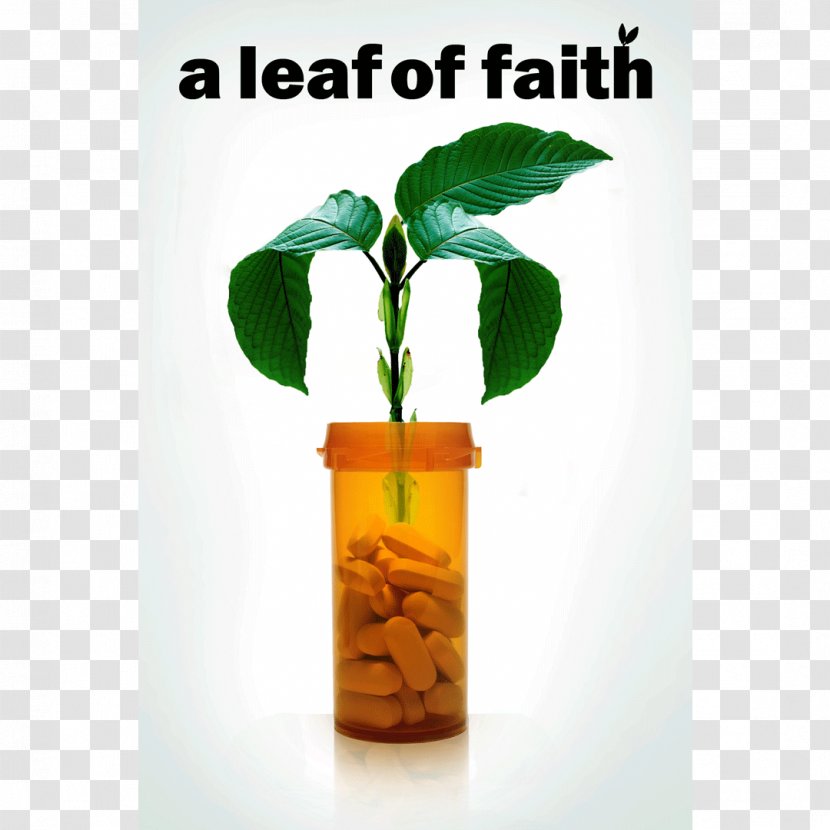Documentary Film YouTube Director Leaf - Youtube Transparent PNG