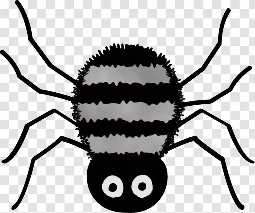 Insect Black Head Pest Spider - Blackandwhite - Arachnid Transparent PNG