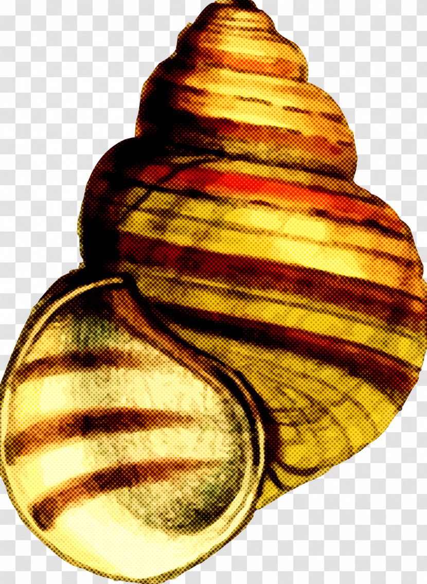 Sea Snail Shell Bivalve Transparent PNG