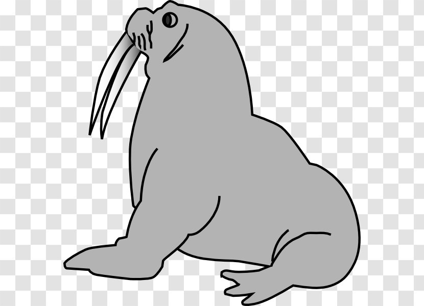 Elephant Seal Harp Clip Art - Rabbit - Fur Transparent PNG