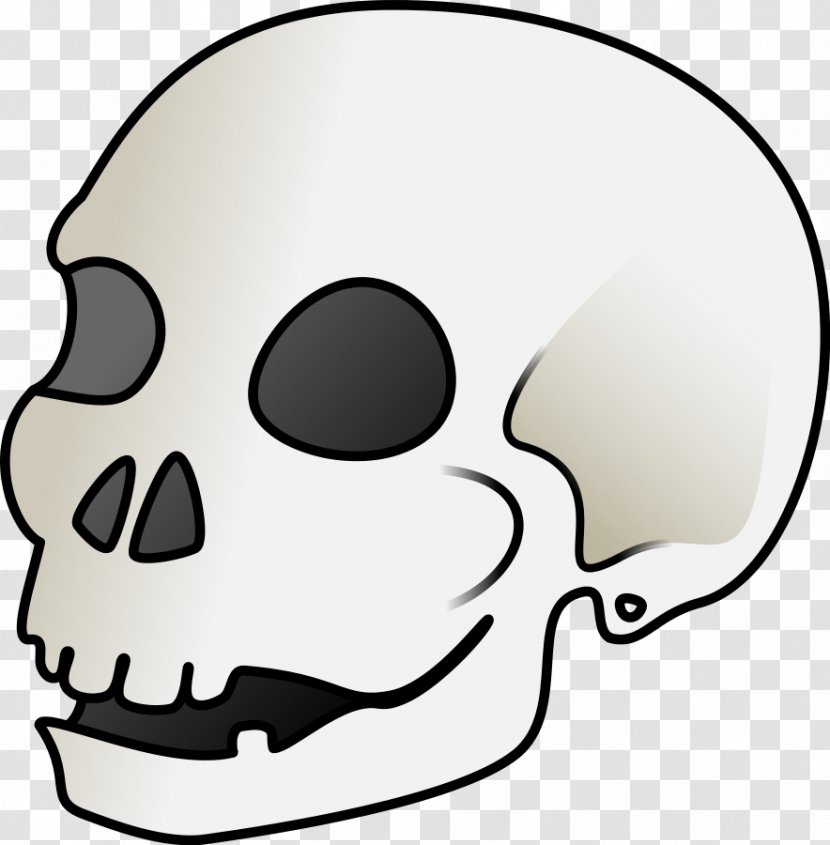 Human Skull Symbolism Art Clip - Mouth - Skulls Transparent PNG