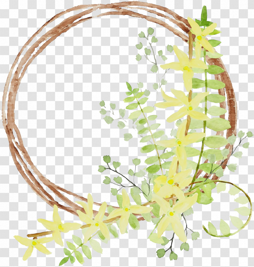 Plant Flower Transparent PNG