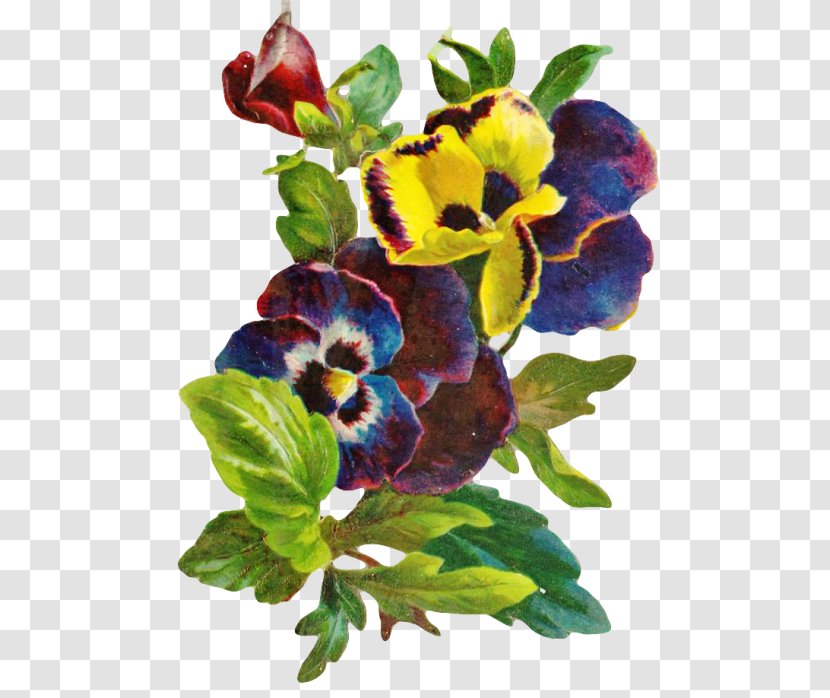 Flower Decoupage Clip Art - Petal - Man Who Sold The World Transparent PNG