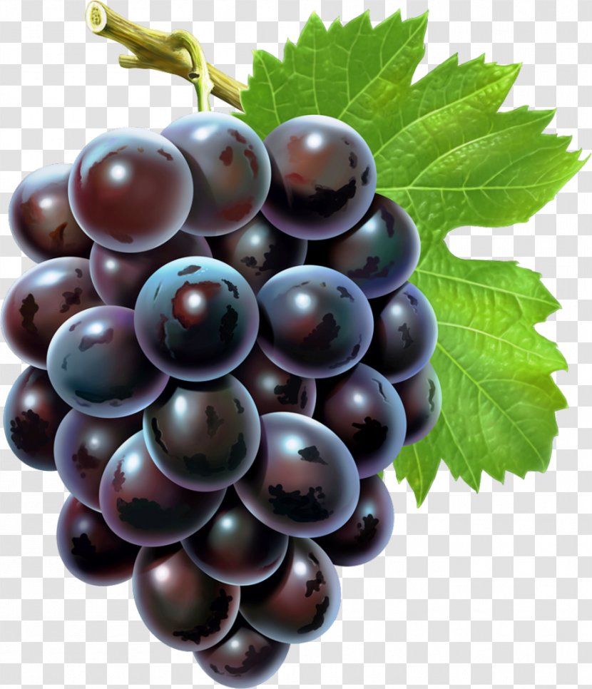 Grape Seed Extract Android Oil - Boysenberry - Grapes Transparent PNG