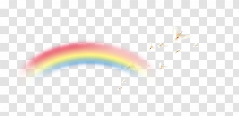 Light White Graphic Design Sky Pattern - Rainbow Transparent PNG