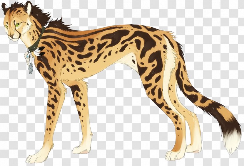 King Cheetah Cat Felidae Drawing Leopard - Puma Transparent PNG