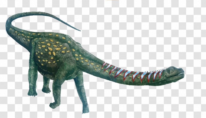 Argentinosaurus Dinosaur Size Giganotosaurus Tyrannosaurus Sauroposeidon - Apatosaurus - Vector Long Neck Dragon Transparent PNG