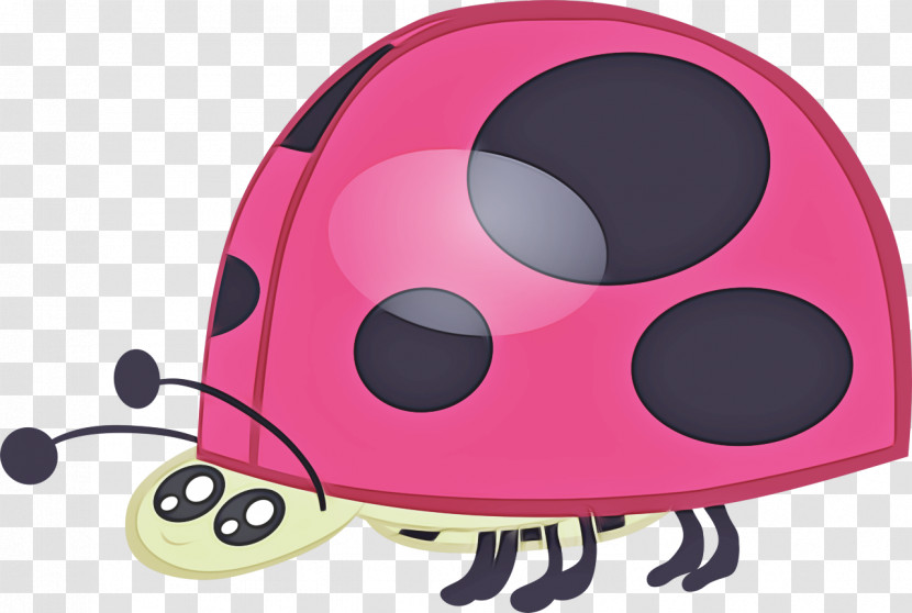 Ladybird Beetle M-audio Transparent PNG