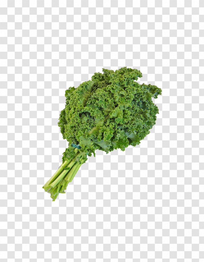 Smoothie Milkshake Juice Curly Kale Vegetable - Lettuce Transparent PNG