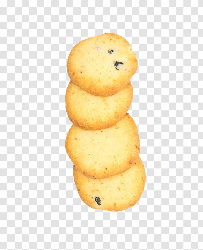 Chocolate Chip Cookie Custard Cream Shortcake Biscuit Food Transparent PNG