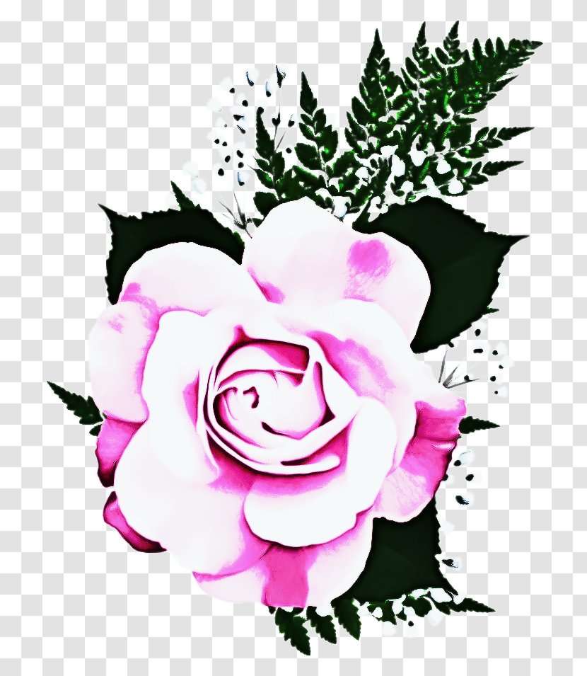 Drawing Of Family - Rose - Hybrid Tea Cut Flowers Transparent PNG