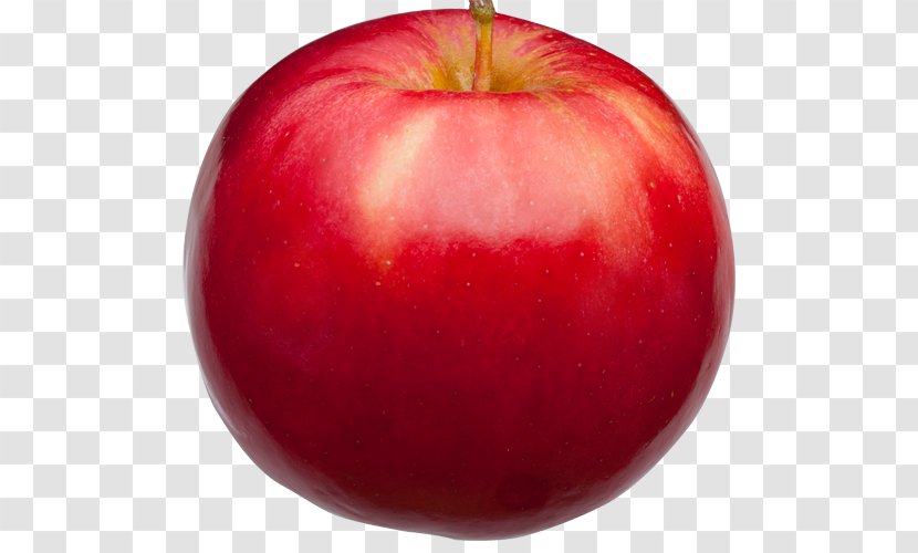 Yates Cider Mill Apple Food Idared - Plant - Red Transparent PNG