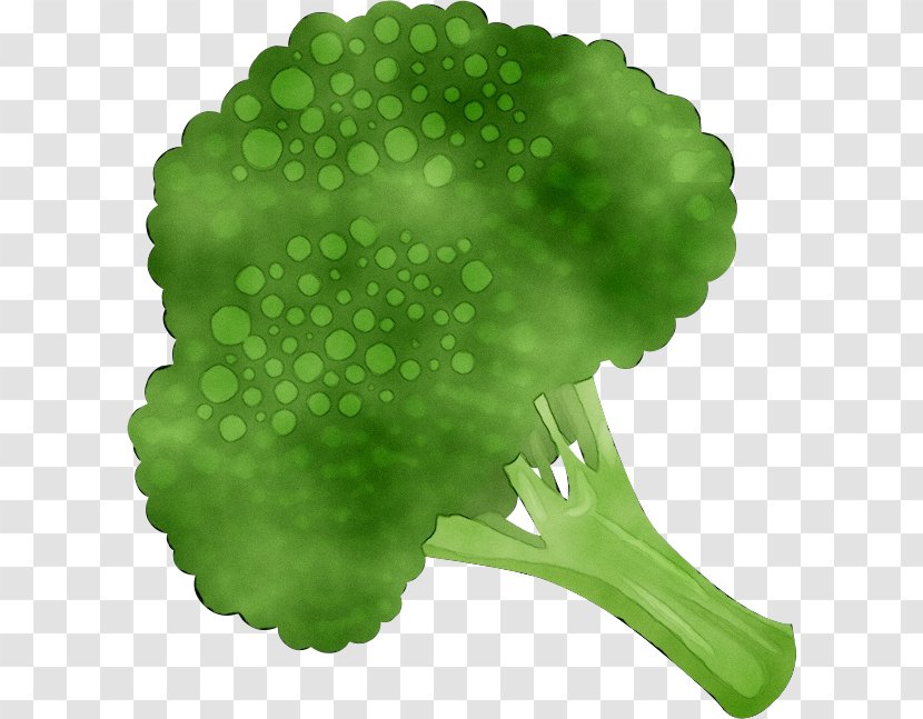 Broccoli Clip Art Cauliflower Vegetable - Brussels Sprouts - Greens Transparent PNG