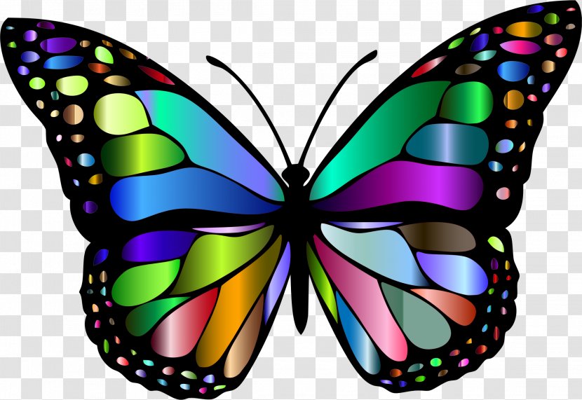Monarch Butterfly Color Clip Art - Greta Oto Transparent PNG