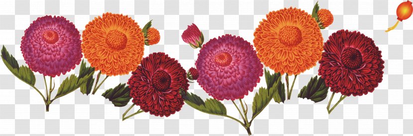 Double Ninth Festival Cornus Mas Chrysanthemum Floral Design - Flower Bouquet Transparent PNG