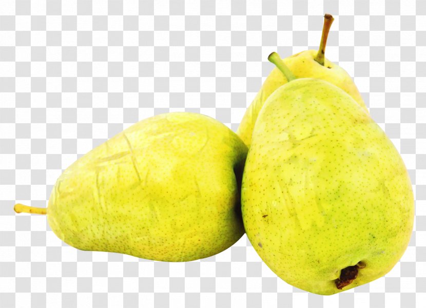 Fruit Juice - Common Guava - Ataulfo Tree Transparent PNG