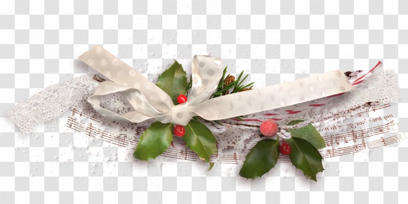 Christmas Holly Ilex - White - Cut Flowers Branch Transparent PNG