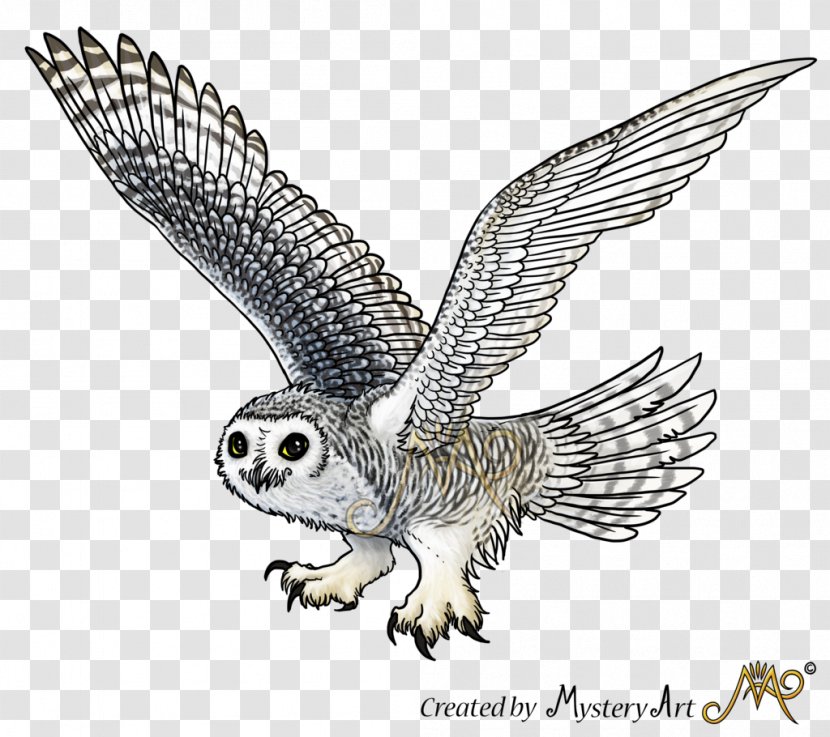Snowy Owl Sketch - Wildlife Transparent PNG