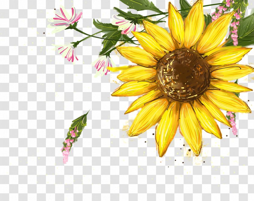 Flower - Floral Design - Sunflower Transparent PNG