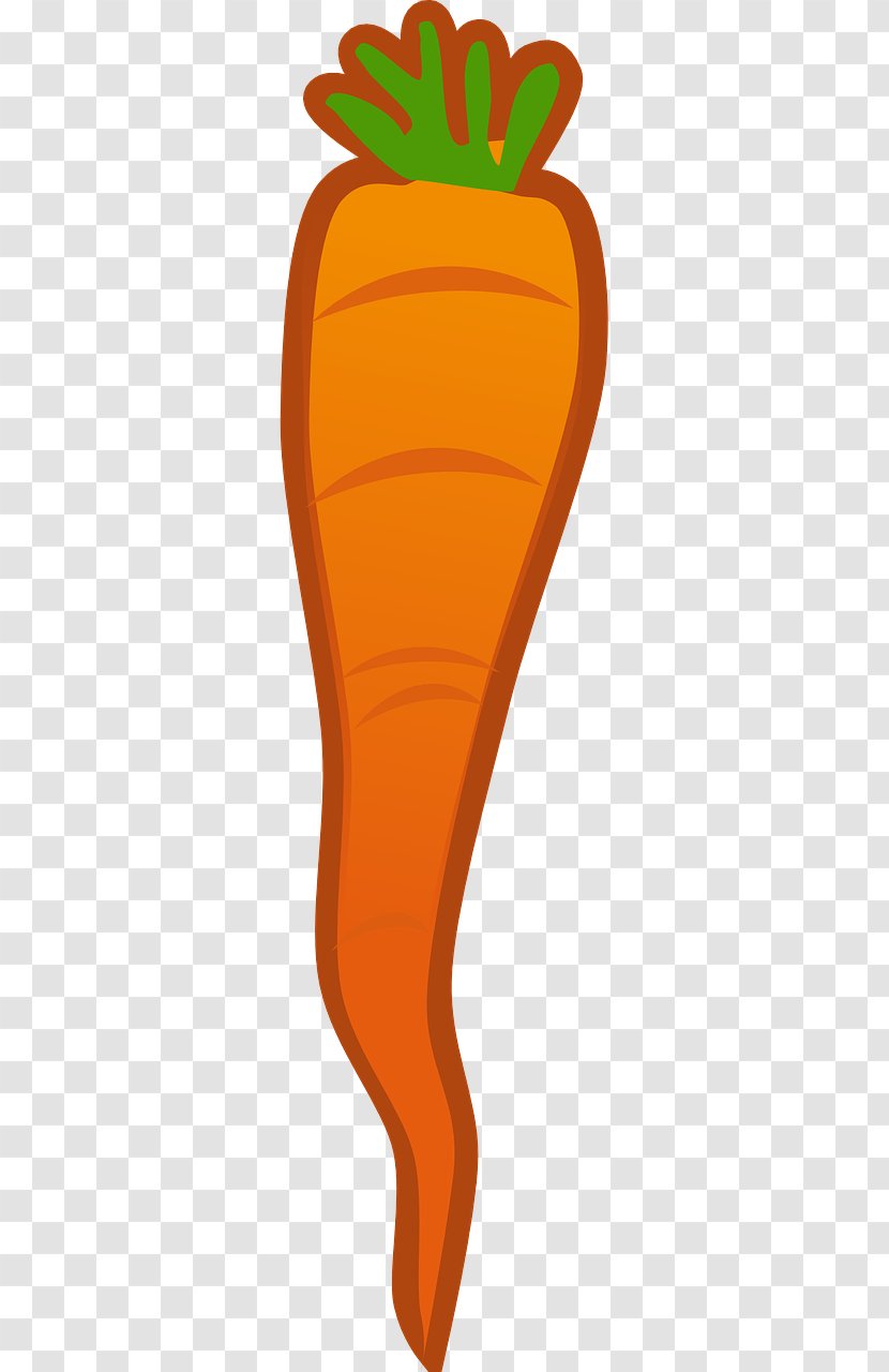 Baby Carrot Clip Art - Food Transparent PNG