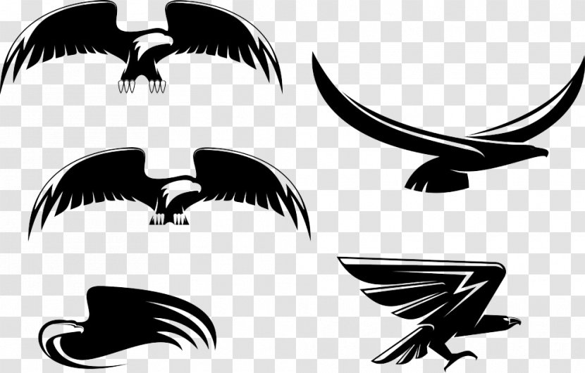 Eagle Stock Photography Royalty-free Clip Art - Black And White - Vector Transparent PNG