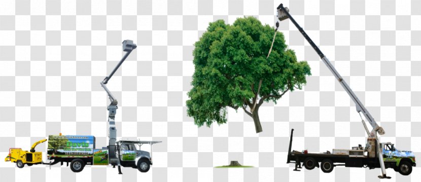 Tree Aerial Work Platform Truck Mode Of Transport - Plant - Emergency Transparent PNG