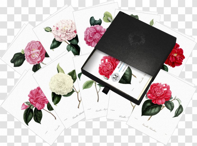 Garden Roses Chakra Noir Floral Design Cut Flowers - Exquisite Gift Box Transparent PNG