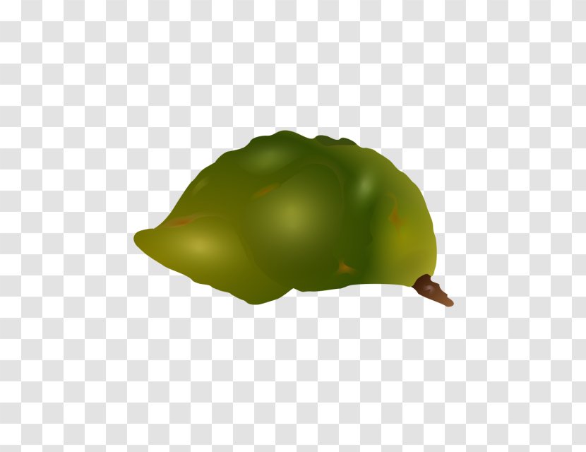 Fruit Drawing - Plant - 父亲节 Transparent PNG