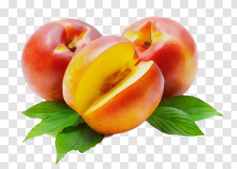 Peach European Plum Nectarines Natural Foods Fruit - Superfood Food Transparent PNG