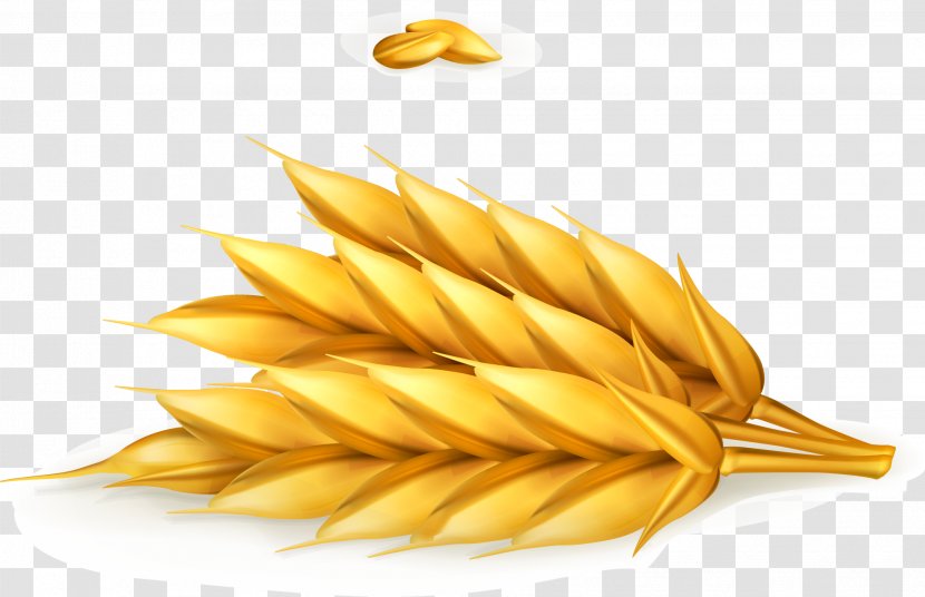 Wheat Food - Yellow - Golden Vector Transparent PNG