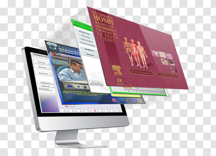 Responsive Web Design Digital Marketing Adobe Dreamweaver CC - Roi Transparent PNG